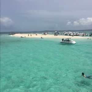 Meet your Posher, Josephine